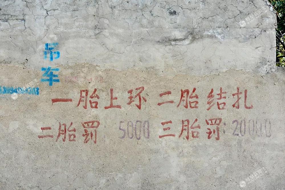最早三胎计生政策及其影响分析