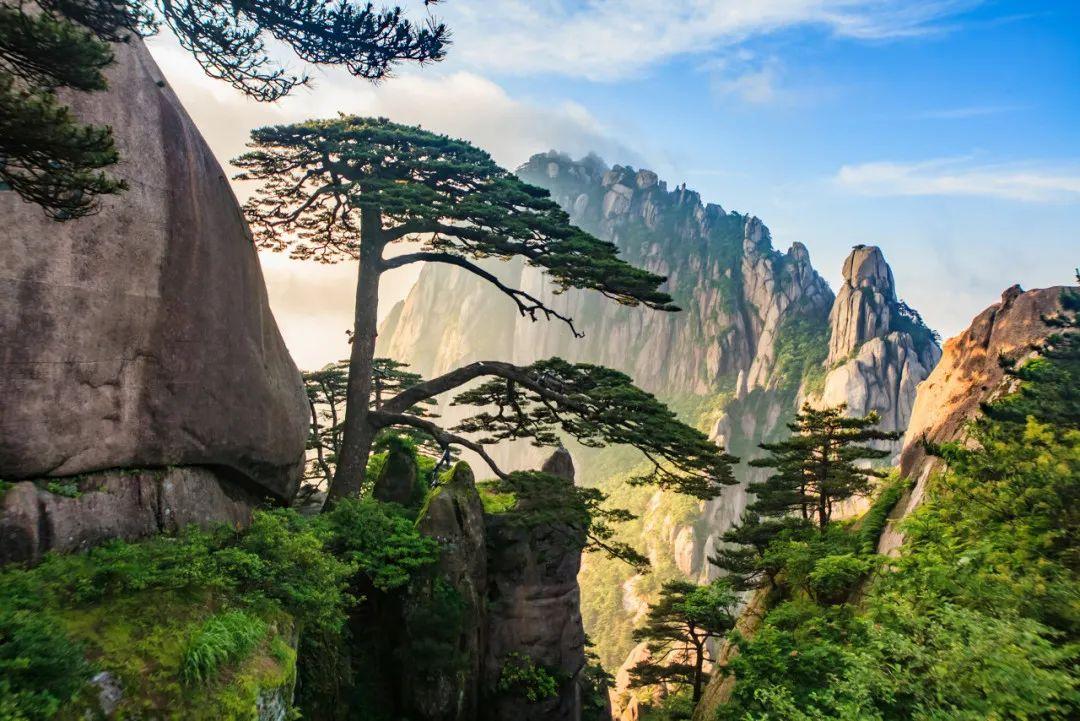 探索数据世界的起点，获取最早日期数据