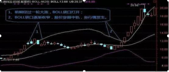 大金融股票早期行情分析与展望