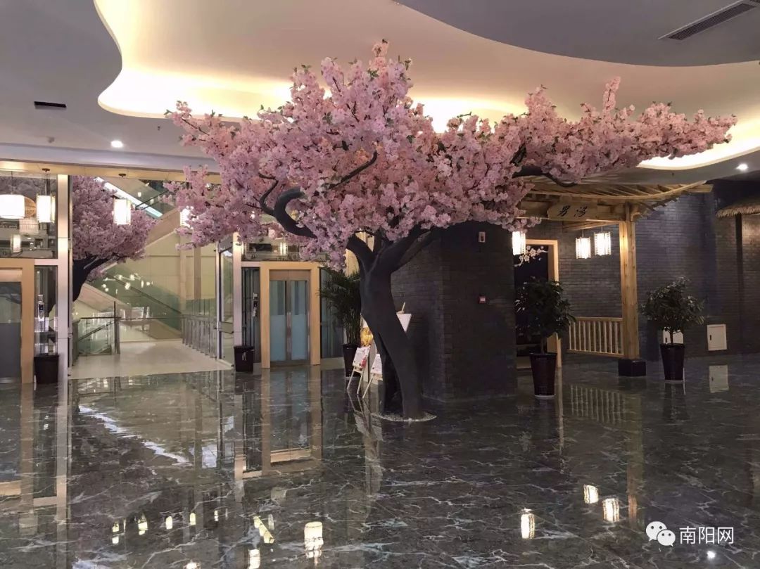 水善汇南阳的早期动态与发展轨迹概述