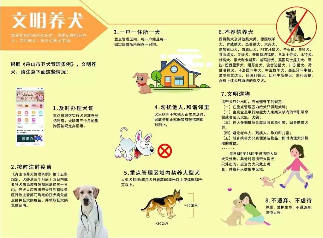 文明养犬起源与深远影响的早期规定探索