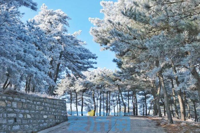 雪乡揭秘，揭开神秘面纱下的童话世界首探消息