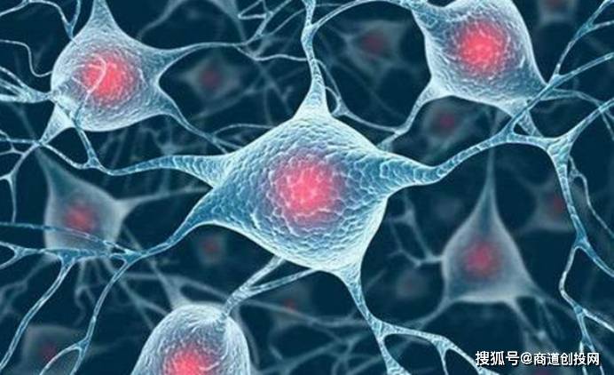 颌学最早版本，历史沿革与学科发展概述