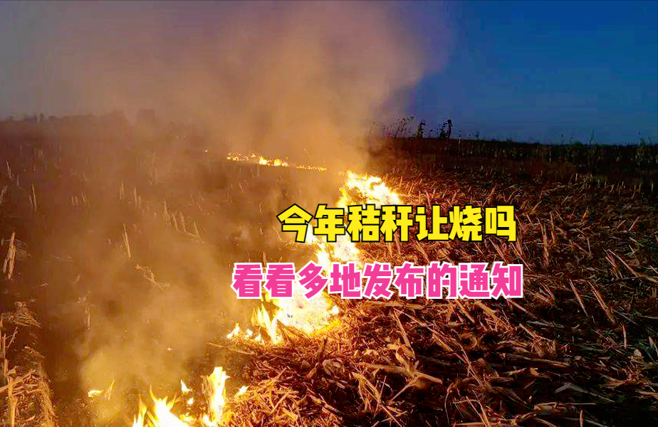 焚烧秸秆最早消息揭秘，背后的故事与影响分析
