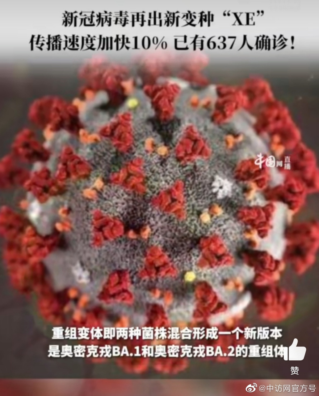 新冠病毒最早疫情的研究与探讨，起源、发展及影响分析