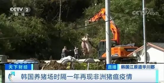 伊拉克疫情最新动态，今日早期情况及分析