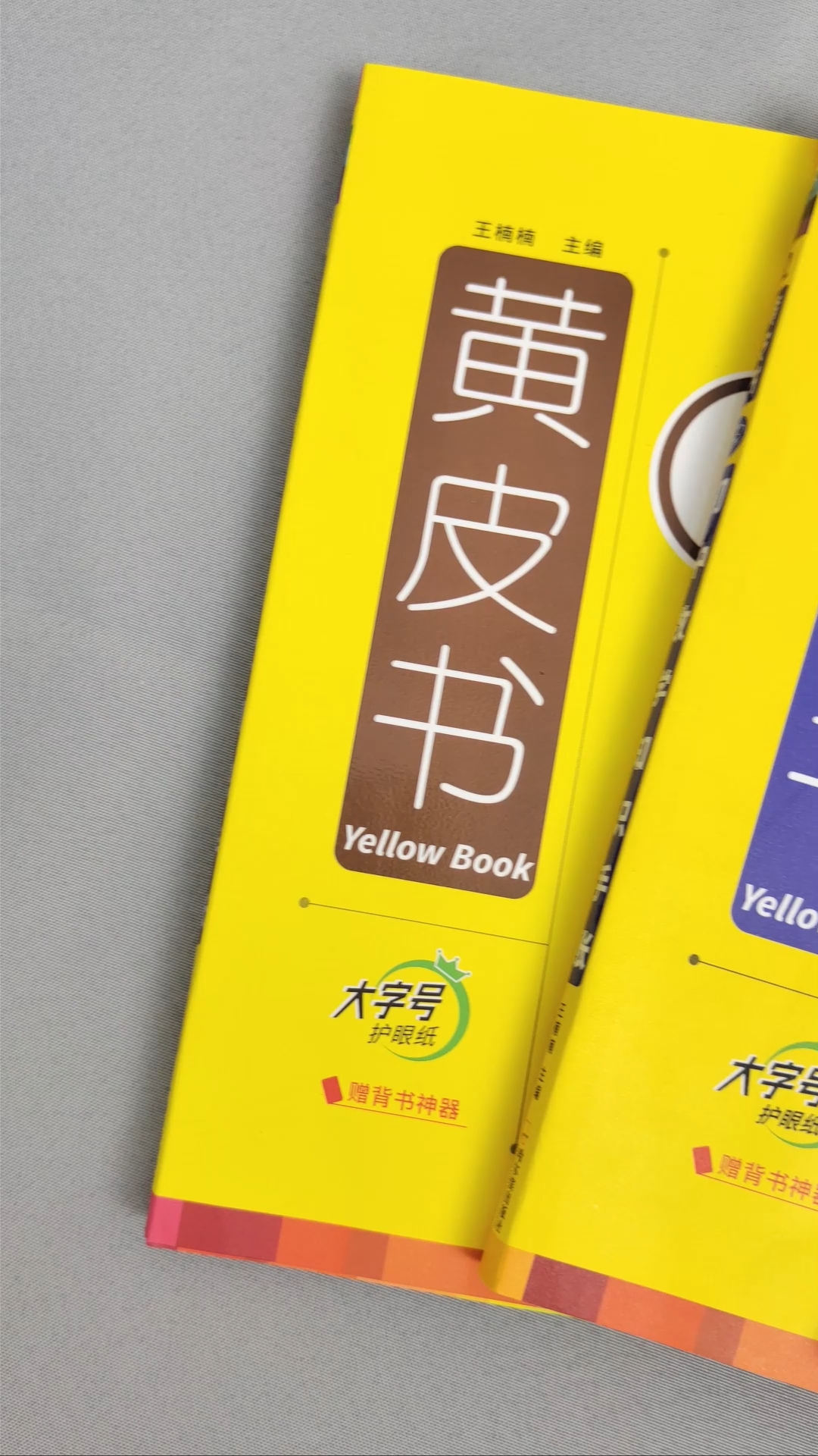 黄皮书最早版的历史沿革及其深远影响