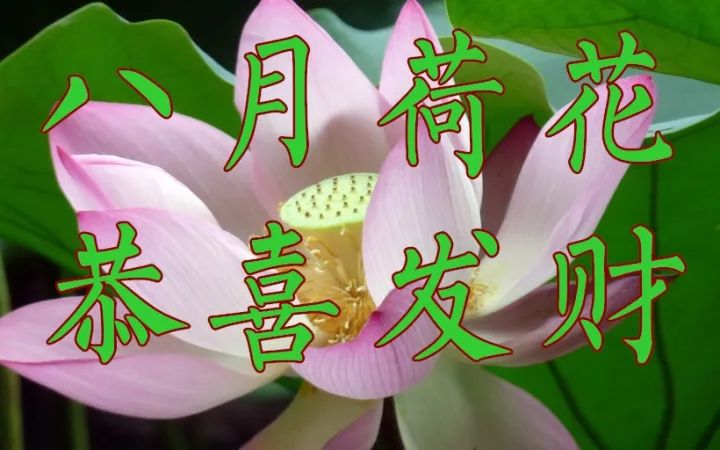 开启美好一天的温馨寄语，最早的早上好祝福词