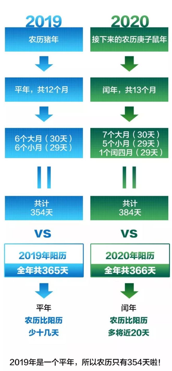 历史时间线探索，年最早进展揭秘