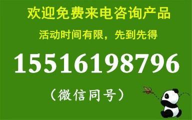 广西今日生猪价格概览，最新行情及分析
