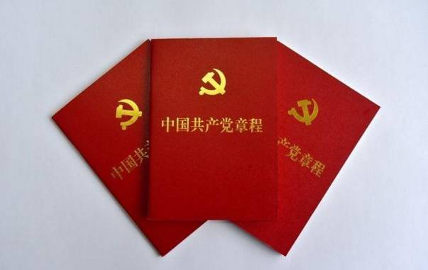 联盟宗旨 第5页