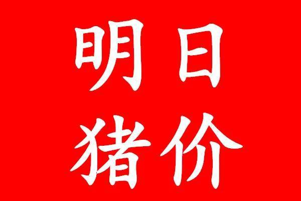甘肃今日猪价预测，深度分析与未来展望
