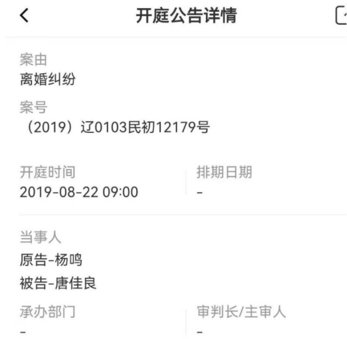 网上起诉离婚图片的最早探讨与解析