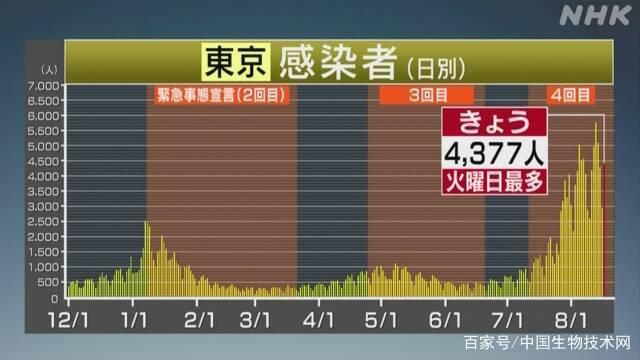 日本今日最早新冠疫情的挑战与应对策略