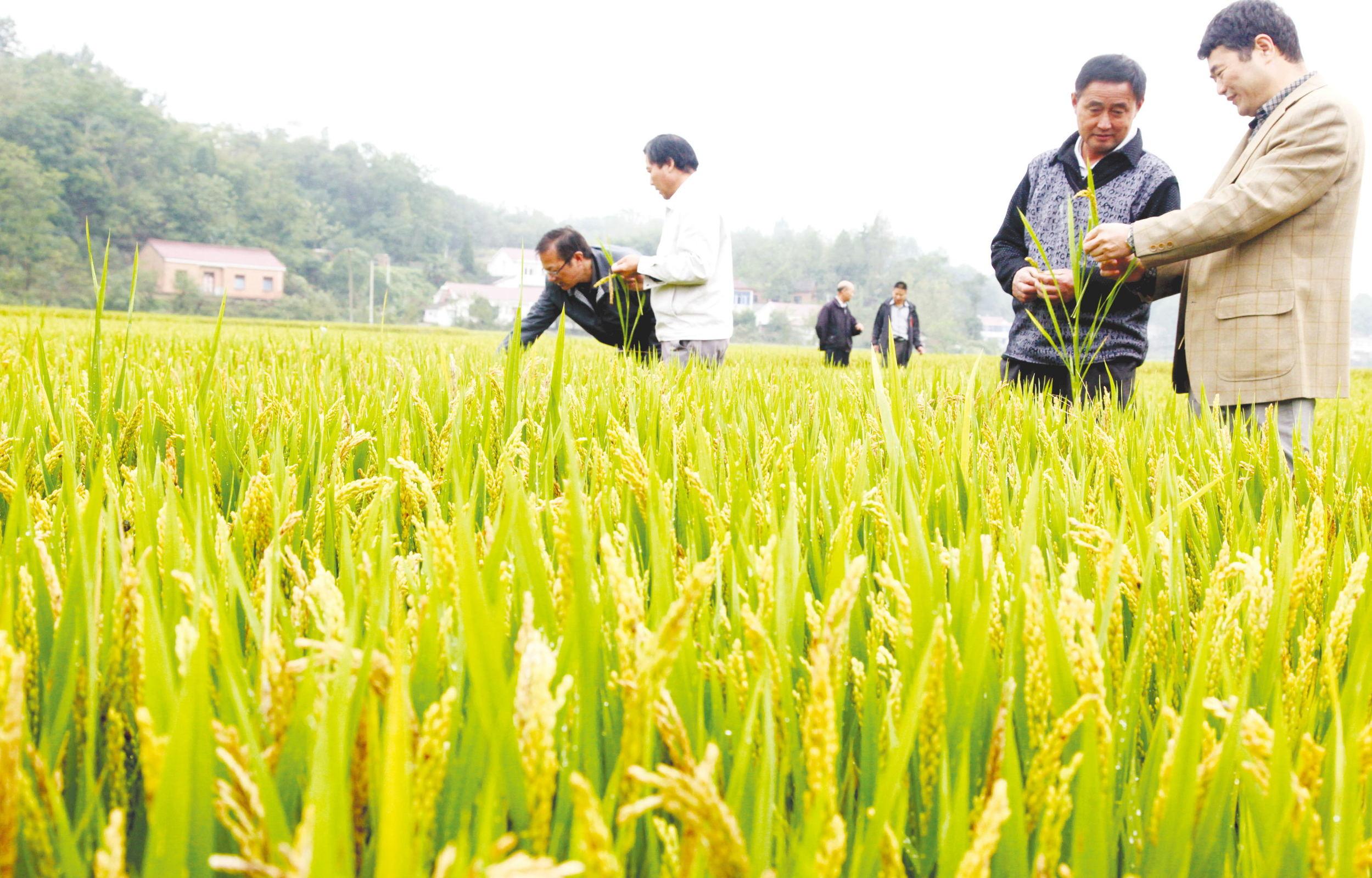 霍山县改市历程回顾，早期发展历程揭秘