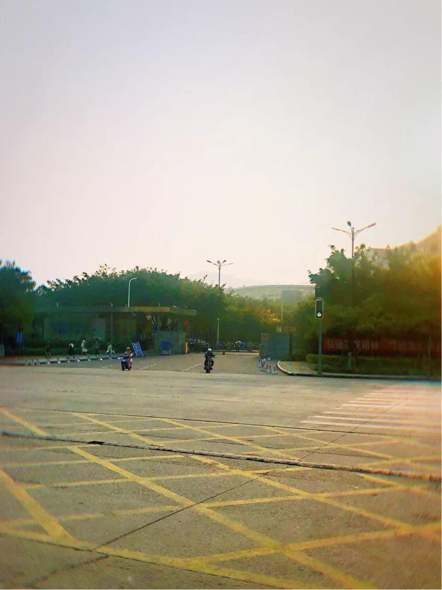 嘉庚学院早期情况探究